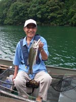 Hutreys DVD サーフェスゲーム